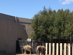 -鄂尔多斯野生动物园