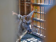 -养云安缦吧THE BAR