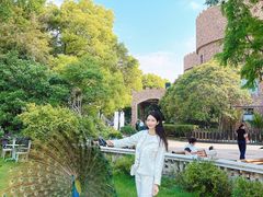 -J Create城市露营咖啡·简餐·宠物(上海动物园店)