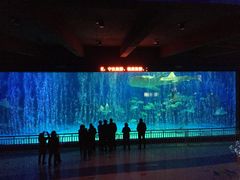 -烟台海昌鲸鲨海洋公园