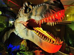 点击看大图 -恐龙探索乐园(磁器口店)