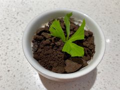 -串一火锅(赛格国际购物中心店)