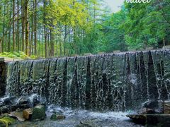 -洛阳白云山景区