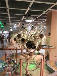 -七巧国萌宠乐园(龙湖天街店)