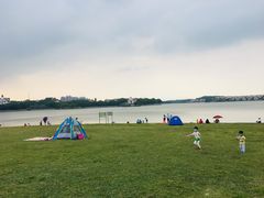 -仙湖旅游度假区
