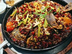 -老板恋上鱼(恒隆广场店)