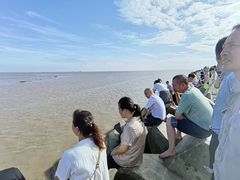 -南汇嘴观海公园