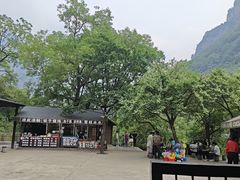 -云台山风景名胜区