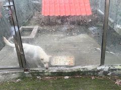 -牛鱼嘴原始生态风景区