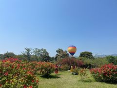 -中国科学院西双版纳热带植物园