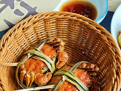 -蟹村草堂·苏式园林人文农家·大闸蟹