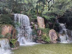-广州市帽峰山景区