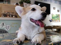 -平行世界·猫咖(首经贸店)