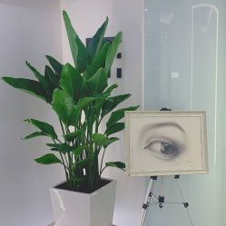 -处女座·MISS VIRGO·半永久纹眉野生眉