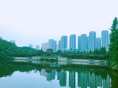 -重庆彩云湖湿地公园