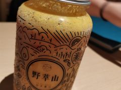 -野萃山·潮汕厚果汁(十亩地店)