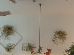 -春树下·树屋花房西餐厅(罍街AS1980店)