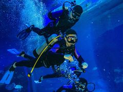 -华夏文旅海洋公园