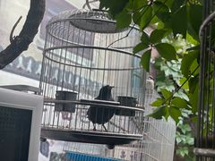 -伊隆斋(什刹海店)