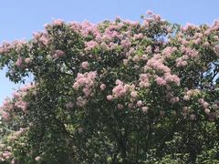 -威勒比开放式动物园