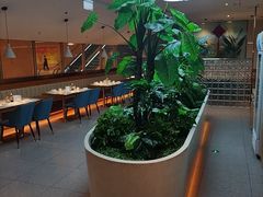 -悦海·家宴·冰花皮皮虾大锅贴(宝龙店)