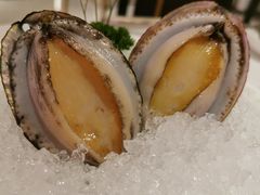 六头鲍鱼-红雀围·海鲜火锅(陆家嘴中心店)
