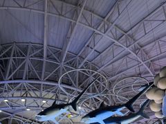 -烟台海昌鲸鲨海洋公园