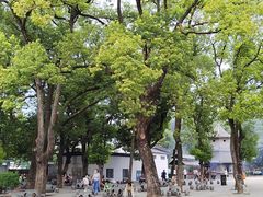 -宝通禅寺