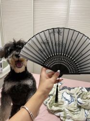 -LD·光疗款式美甲美睫