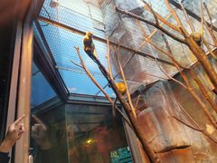 -泉城欧乐堡海洋极地世界