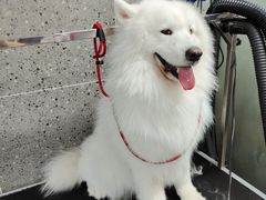 -宠物家(大兴旧宫店)