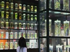 -广东中医药博物馆