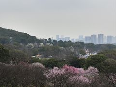 -无锡梅园公园