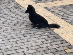 -三花屋 Mihhanaya