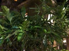 -广州锦绣香江度假别墅