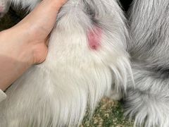 -达爱动物医院·犬猫分区·CT·复杂眼科(远洋山水分院)