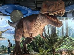 -陕西自然博物馆