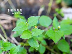 -吉林大学(南岭校区)