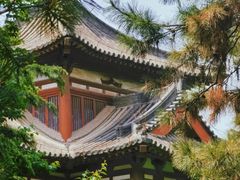 -西安青龙寺遗址景区