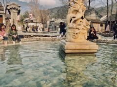 -古北烤梨