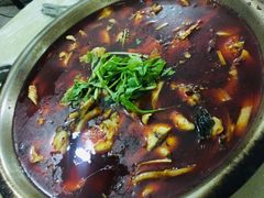 -重庆特色冷锅鱼(武大店)