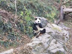-巴黎贝甜(银城东苑店)