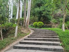 -火炉山森林公园