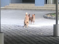 -富隆酒窖(天河北店)