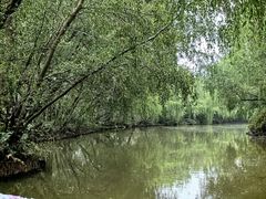 -大湾区中央湿地公园