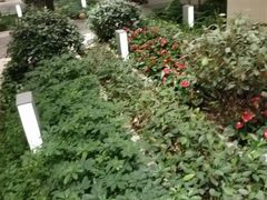 android_upload_pic-仁恒美食庭苑