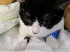 -爱侣宠医·鹦鹉专科·小型哺乳类·异宠专科(灵石路店)