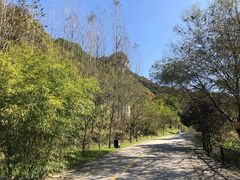 -少华山国家森林公园