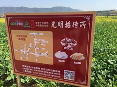 -光明小镇欢乐田园