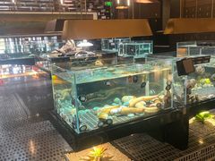 -璞御·海鲜·雪花牛肉局(宾水西道店)